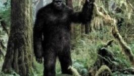 Lefilmezték a rettegett Nagylábút a kanadai hegyekben (VIDEÓ)