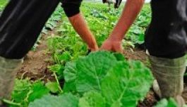 Hivatalos idénymunka: jó a munkavállalónak is, a munkáltatónak is