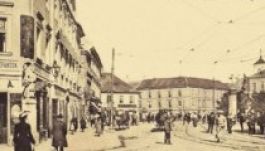 Egy hét magyarságpolitikai írásaiból (július 23-30.)