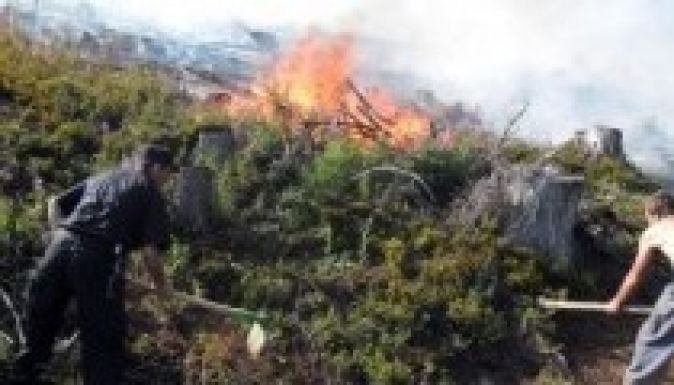 Erdőtűz pusztított a Retyezátban