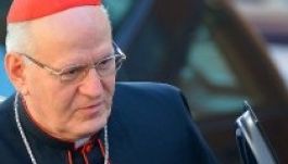 Erdő Pétert küldte Ferenc pápa az evangelizációs ünnepségre