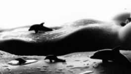 Bodyscapes: dimbes-dombos testtájak egy londoni fotóstól (GALÉRIA)