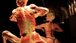 Megdőlt az Antipában a hazai múzeumlátogatási rekord