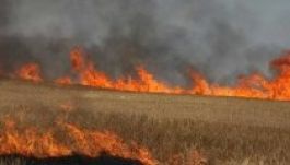 Tarlóégetők, figyelem: nemcsak büntetés jár, de támogatásmegvonás is