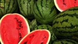 Magyarként árulták volna Szlovákiában a román görögdinnyét