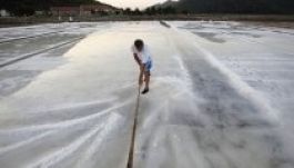 Megkezdődött a sószüret Horvátországban