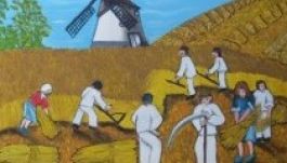 Rekord gabonatermésről beszél a mezőgazdasági miniszter