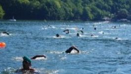 Százötvenen ússzák át szombaton a Tárnicát