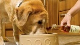 Húsízű kutyasört dobtak paicra