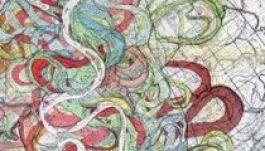 Kibogozhatatlanságában szép térképre hívták fel a figyelmet