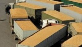 Oroszországi járvány miatt blokkolja a búzát Ukrajna