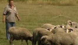 Nem szabad a folyók mentén felállítani az esztenákat