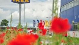 Petíció: nyisson üzletet Kolozsváron az IKEA!