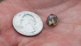 Vagyont érő gyémánt pár dollárért