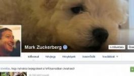 Feltörte Zuckerberg Facebook-oldalát egy palesztin informatikus