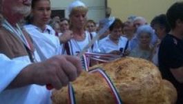 Szent István ünnepe zárt falak mögött Marosvásárhelyen (GALÉRIA)