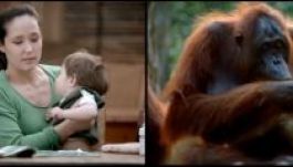 WWF: mindannyian állandó kapcsolatban állunk