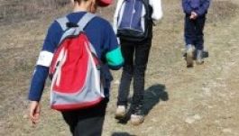 Módosítaná az iskolai utazástámogatásokat a kormány