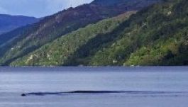A Loch Ness-i szörny márpedig létezik – állítja egy brit (VIDEÓ)