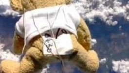 Játékmaci repült a Földre a sztratoszférából