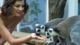 Ördög Nóri állatok kedvéért vállalt munkát