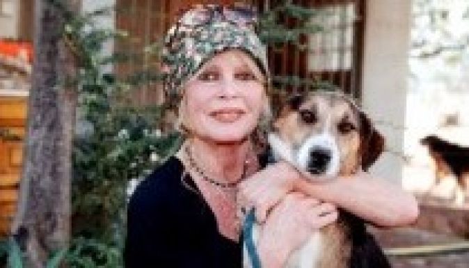 Nyílt levélben védte a román kóbor kutyákat Brigitte Bardot