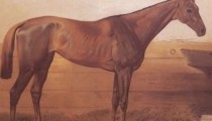 Film készül Kincsemről, a csodalóról