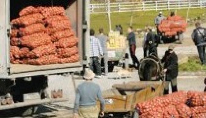 Növekszik a külföldi érdeklődés a székely pityóka iránt