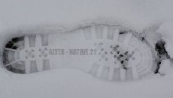 Alter-Native: lejárt a határidő, kezdődik az előzsűrizés