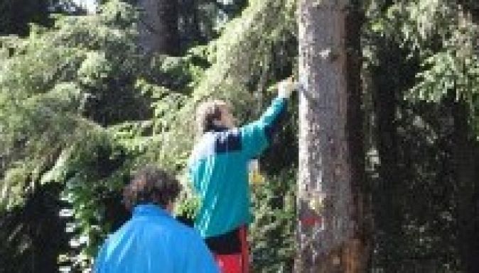 Biztonságosabbak lesznek a turistaútvonalak Hargita megyében