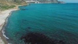 Ismeretlen vegyszer szennyezi a Fekete-tenger partját