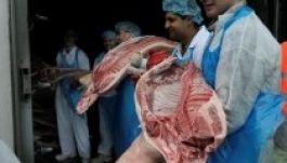 Átvert magyar hentesek tüntetnek Németországban