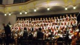 T. Koós Imola: Boc, Florea és az óvodáskötény