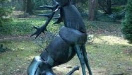 Részeg szarvasok miatt hívták a stockholmi rendőrséget