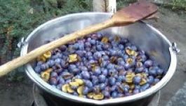 Már a szilvaízfőzésnek is lesz fesztiválja