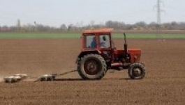 Korlátozná a külföldiek földvásárlási jogát a mezőgazdasági tárca