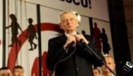 Hely népszavazás készül Bukarestben a kóbor kutyák elaltatásáról