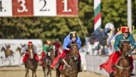 Négy székelyföldi indulója lesz a Nemzeti Vágtának