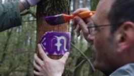 Csíksomlyói konferencia a kelet-európai El Caminoról