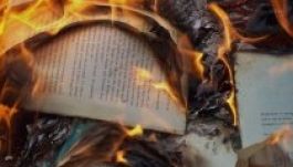 Negyedmillió könyvet pusztított el egy könyvtárhálózat