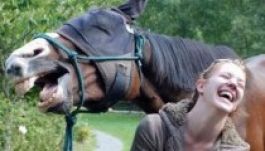 Amikor az állatok belelógnak a képbe (GALÉRIA)