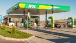 141-re nőtt a romániai MOL-kutak száma