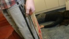 Tavaly többet bűnöztek, de kevesebbet gyilkoltak a magyarok