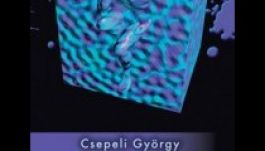 KISEBBSÉGBEN: Egy kortárs hatalom-analízis felé