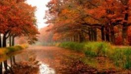 Nyáriasra fordul az idő a következő napokban