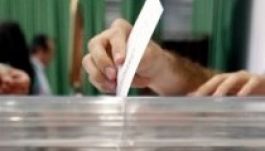 December 8-ára tervez az RMDSZ helyi népszavazást a régiókról