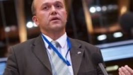 A szerbiai magyarok „sanyarú” helyzetéről beszéltek Strasbourgban