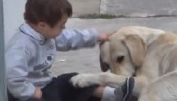 Down-szindrómás gazdiját biztatja játékra egy kutya (VIDEÓ)