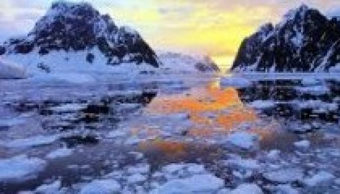 Újabb sarki állat került veszélybe a globális felmelegedés miatt