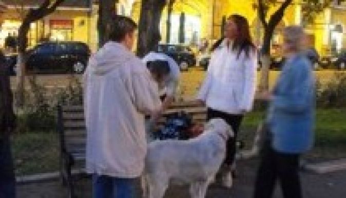 Több mázsa aprópénz gyűlt Lakó Péterfi Tündének